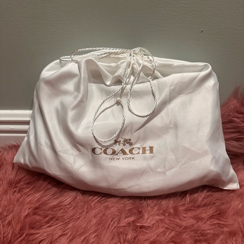 NEW COACH Chelsea Chalk Fringe Shoulder Crossbody Purse Handbag Charm Tassle - Picture 12 of 16